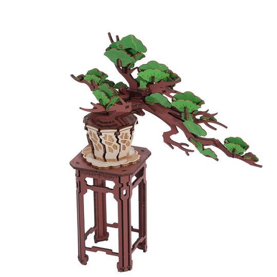 Bonsaï Pin - La Maquette en Bois®