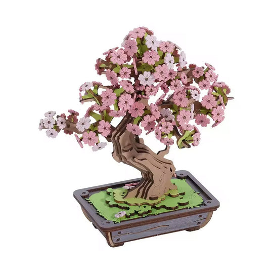 Bonsaï Sakura - La Maquette en Bois®