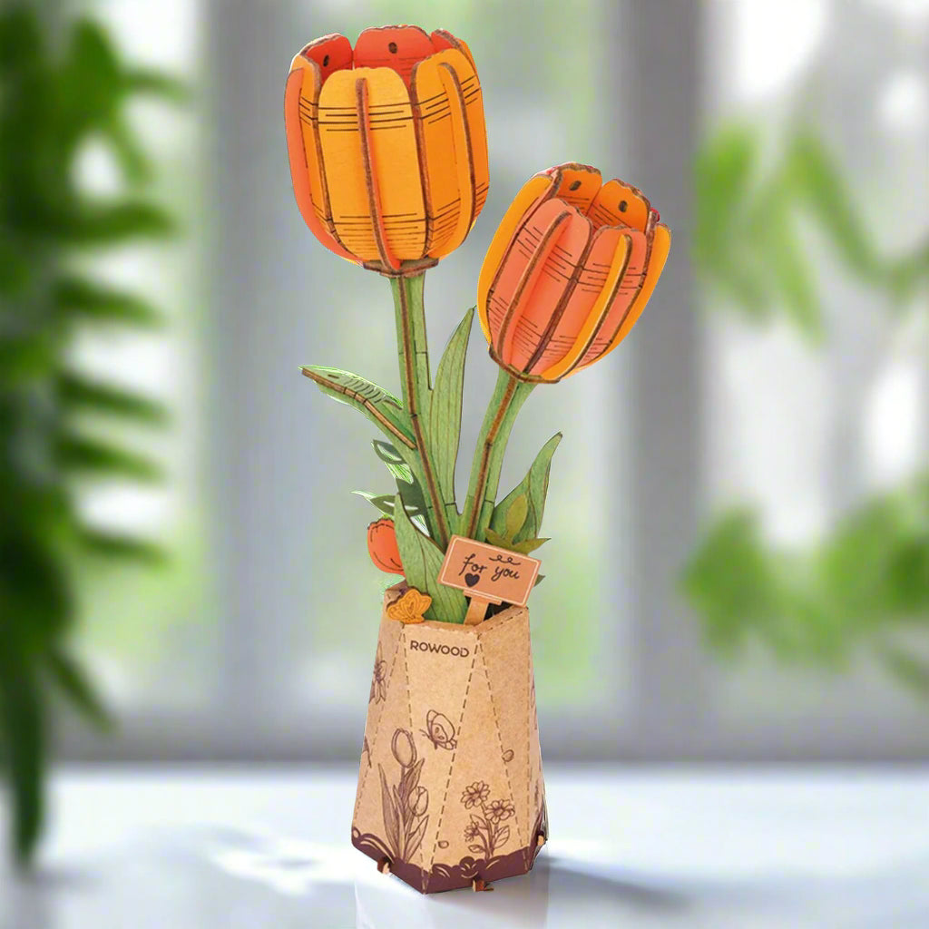 Tulipes de l'Aube - La Maquette en Bois®